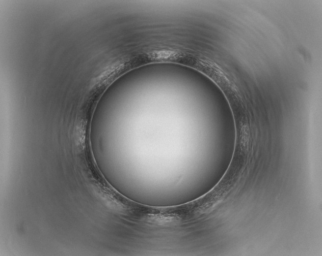 X0000116060545200911201458