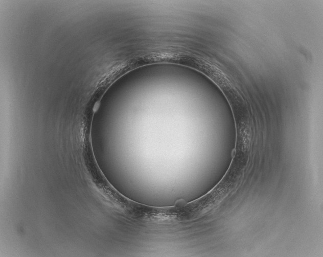 X0000116060546200911201458
