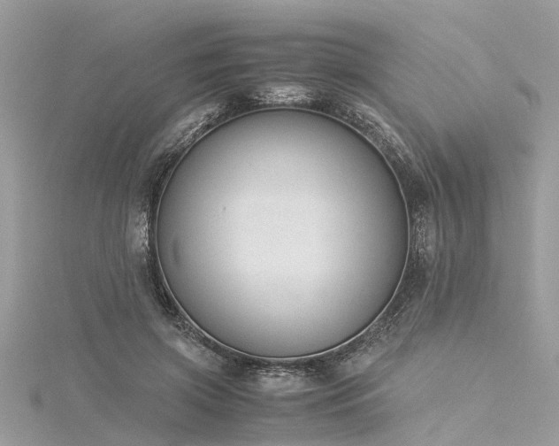 X0000116060549200911201458
