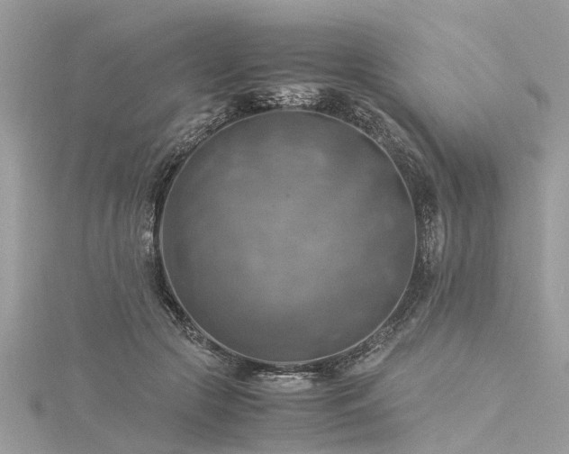 X0000116060553200911201458