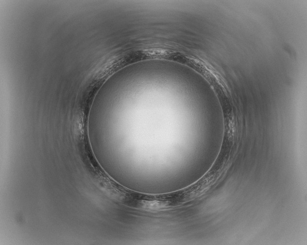 X0000116060561200911201458