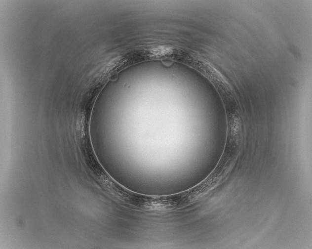 X0000116060565200911201458