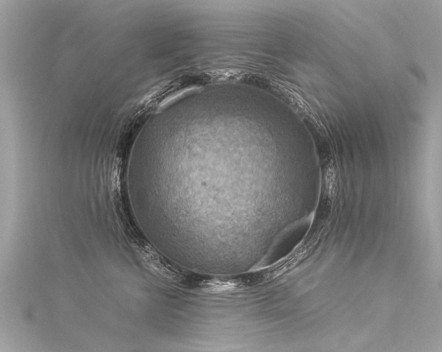 X0000116060570200911201458