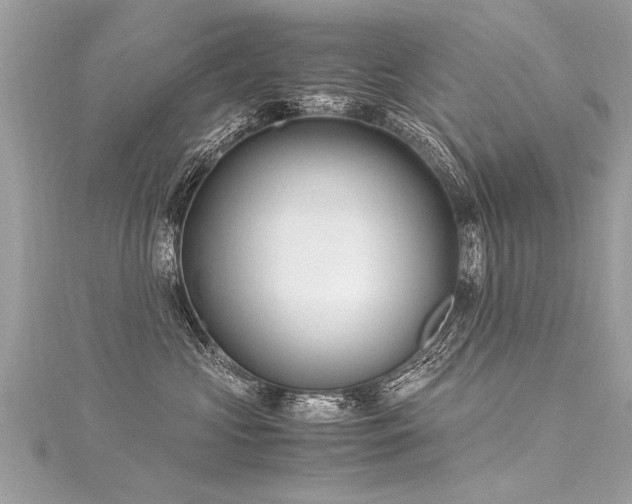 X0000116060573200911201458