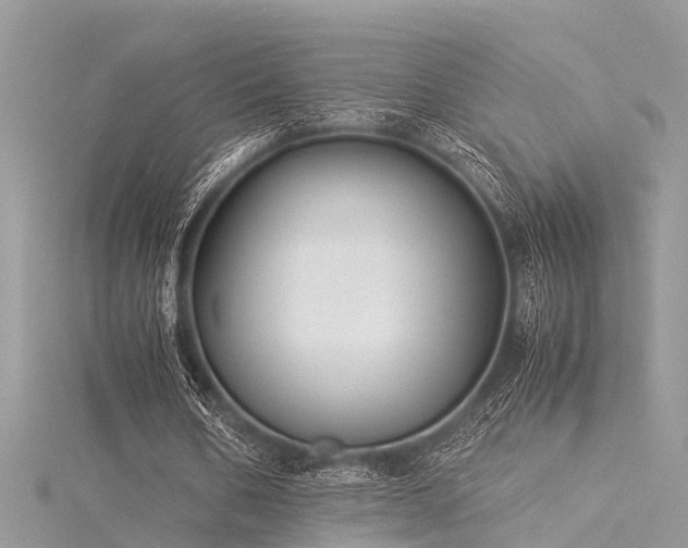 X0000116060578200911201458