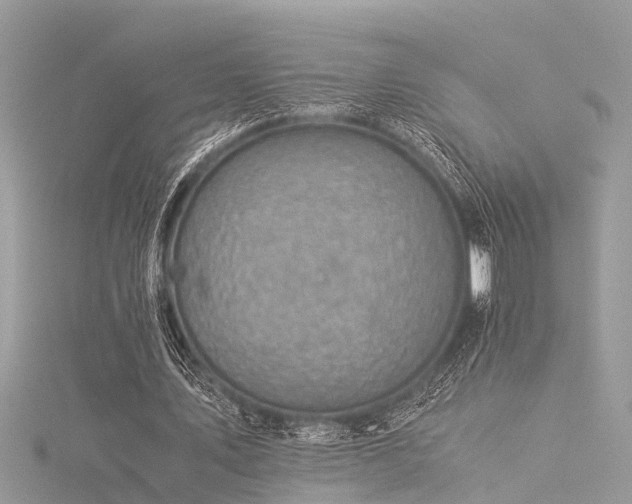 X0000116060579200911201458