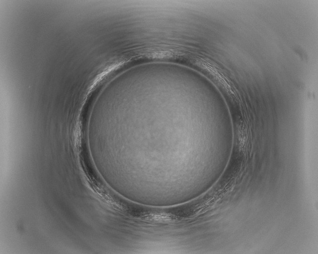 X0000116060583200911201458