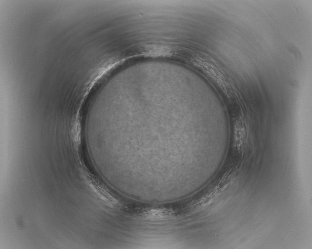 X0000116060584200911201457