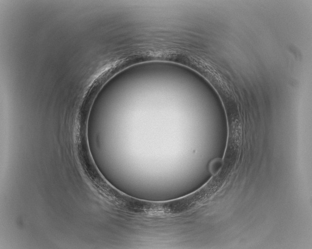 X0000116060587200911201457