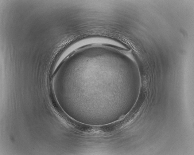 X0000116060589200911201457