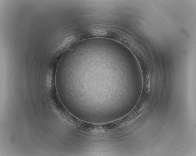 X0000116060600200911201457