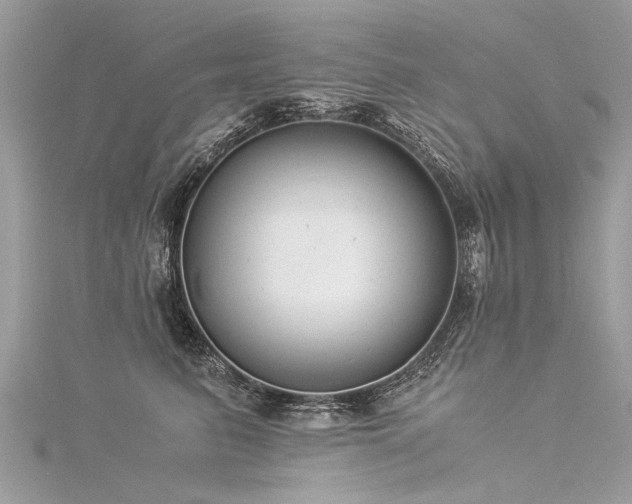 X0000116060615200911201457