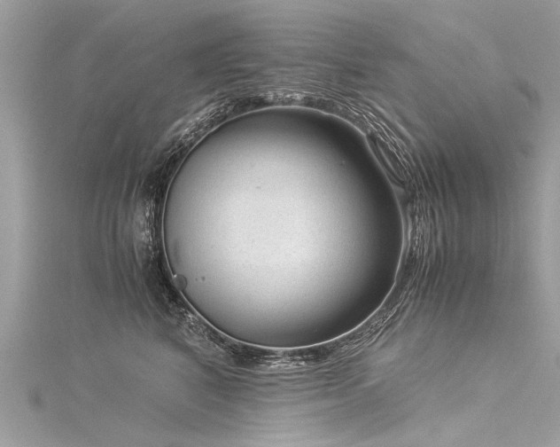 X0000116060616200911201457
