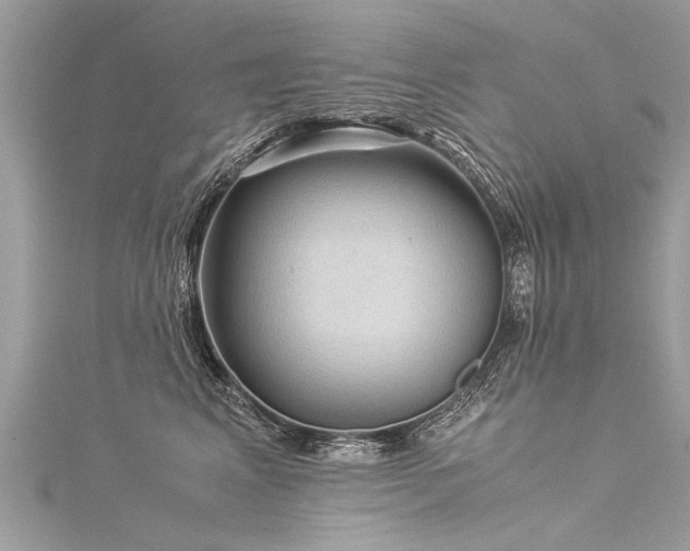 X0000116060617200911201457