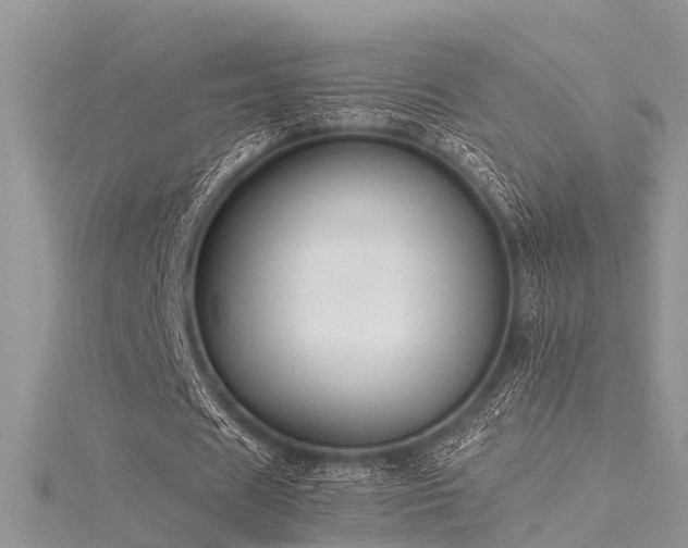 X0000116060625200911201456