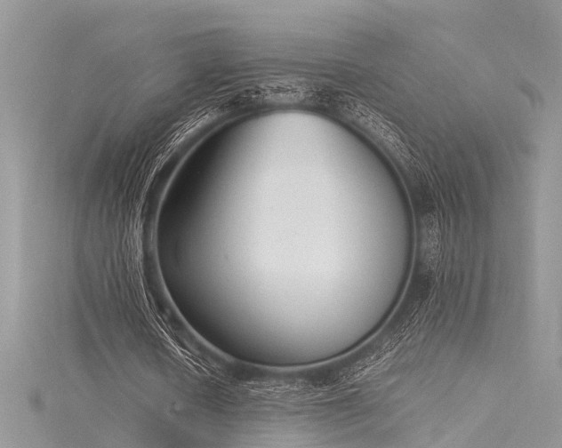 X0000116060626200911201456