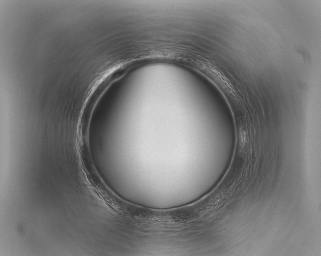 X0000116060628200911201456