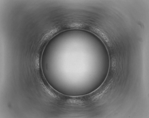 X0000116060633200911201456