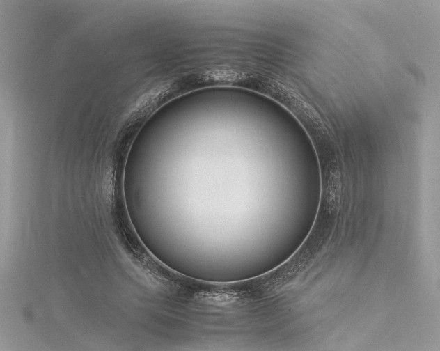 X0000116060639200911201457