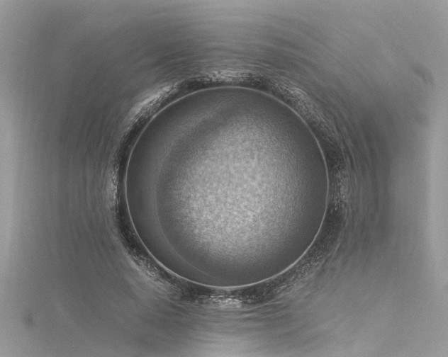 X0000116060640200911201457