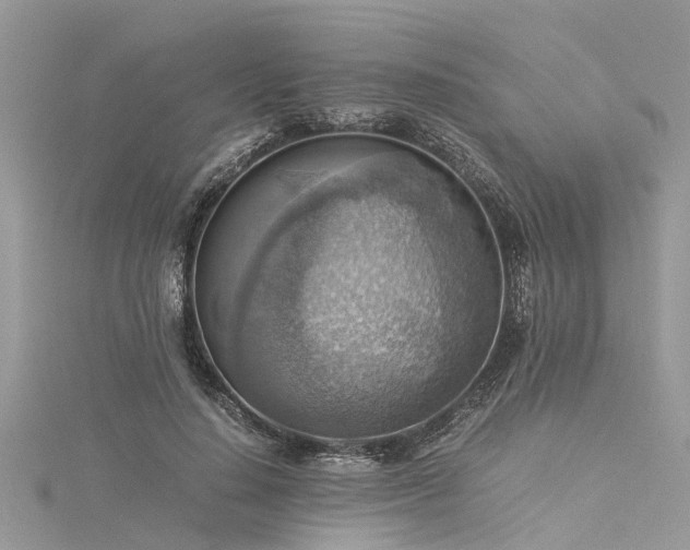 X0000116060644200911201457