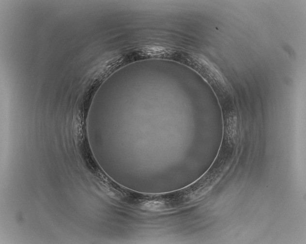 X0000116060653200911201457