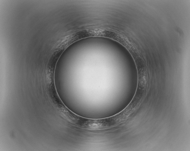 X0000116060658200911201457