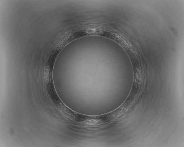 X0000116060659200911201457