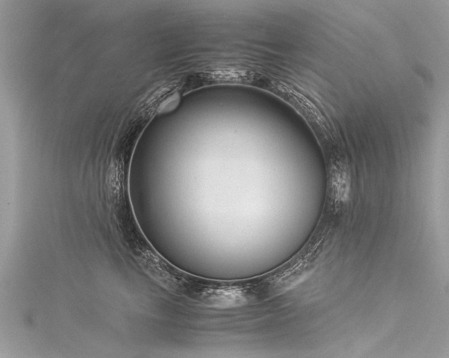 X0000116060665200911201457