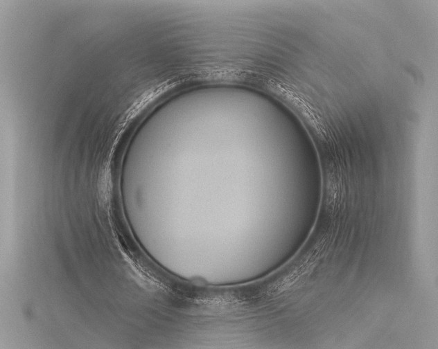 X0000116060674200911201456