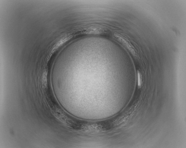 X0000116060675200911201456