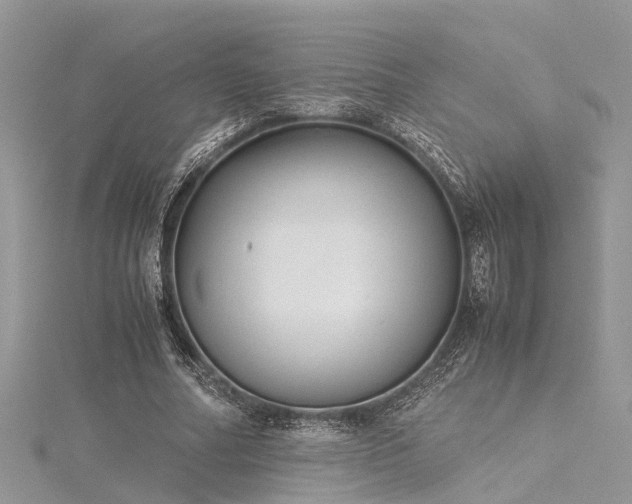 X0000116060682200911201456