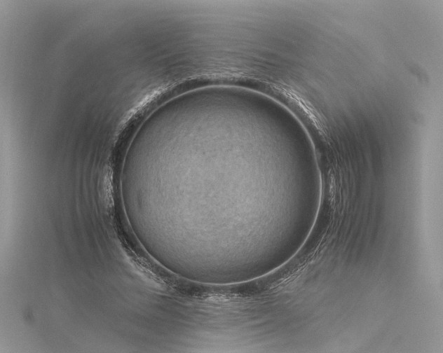 X0000116060684200911201456
