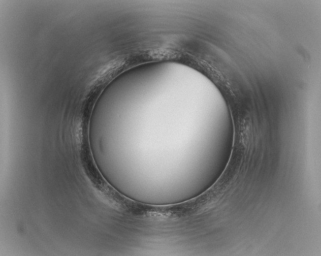 X0000116060690200911201456