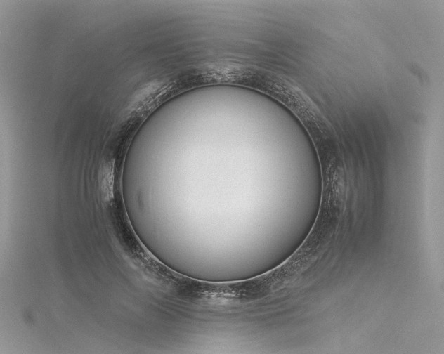 X0000116060694200911201456
