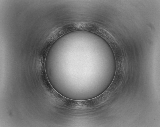 X0000116060702200911201456
