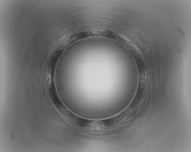 X0000116060703200911201456