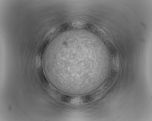 X0000116060705200911201456