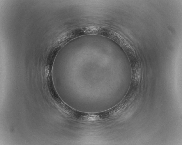 X0000116060711200911201456
