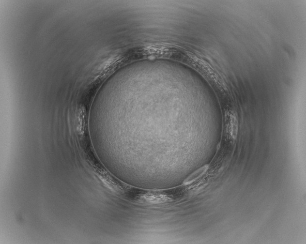 X0000116060712200911201456