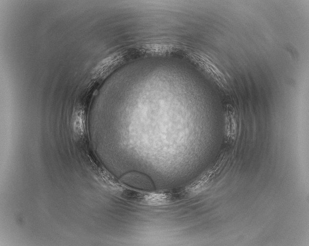 X0000116060718200911201456