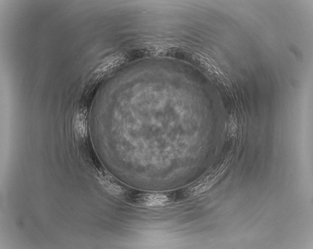 X0000116060719200911201456