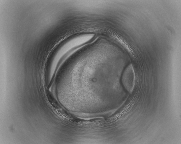 X0000116060722200911201455