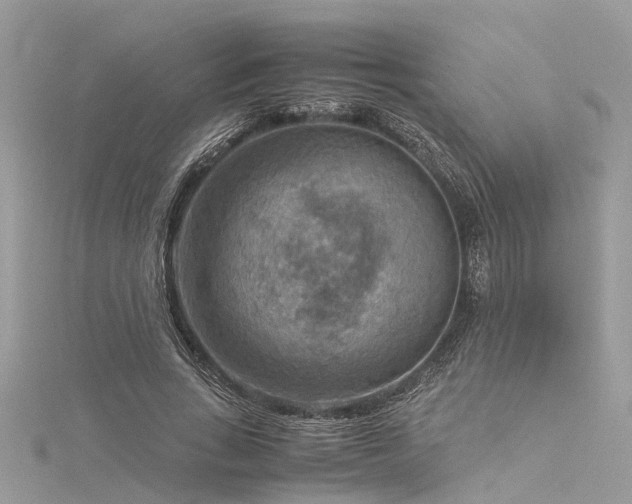 X0000116060735200911201455
