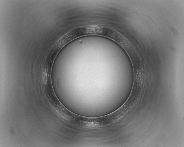 X0000116060741200911201455