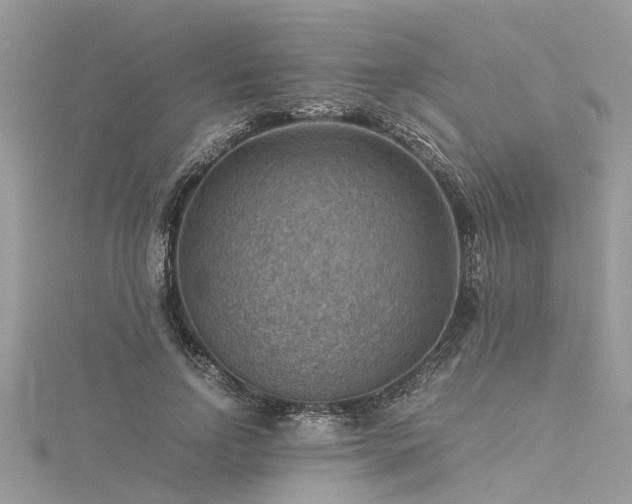X0000116060742200911201455