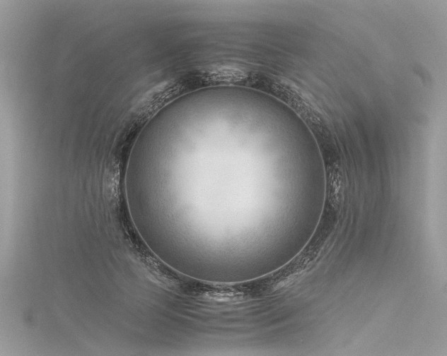 X0000116060745200911201455