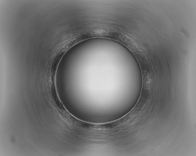 X0000116060746200911201455