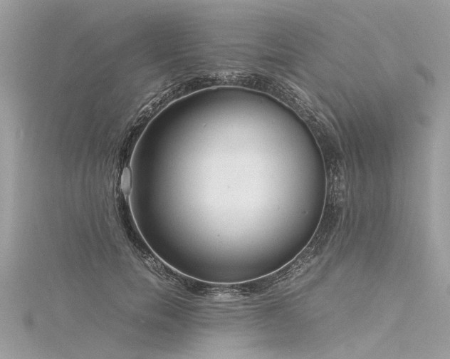 X0000116060750200911201456