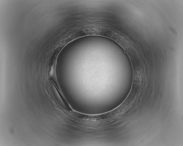 X0000116060751200911201456